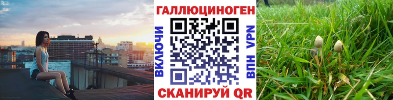 Галлюциногенные грибы ЛСД Болхов