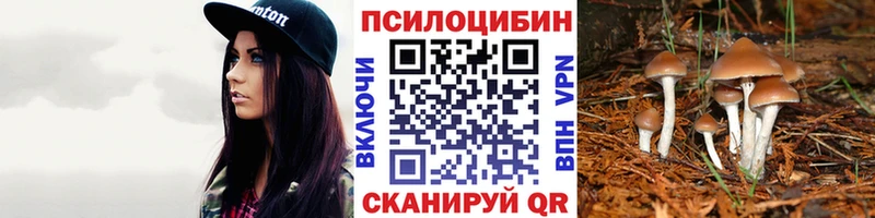Псилоцибиновые грибы Magic Shrooms  Купить закладки  Болхов 
