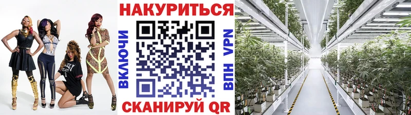 Шишки марихуана Bruce Banner Болхов